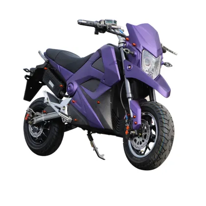 Electric Motorcycle with Wuyang Mid Motor: 150 KM Range