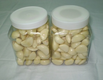 Big size peeled garlic