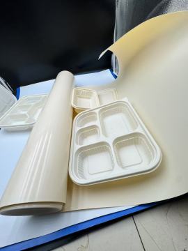 Unveiling the Potential of PLA Film: Properties and Applications in a Green World