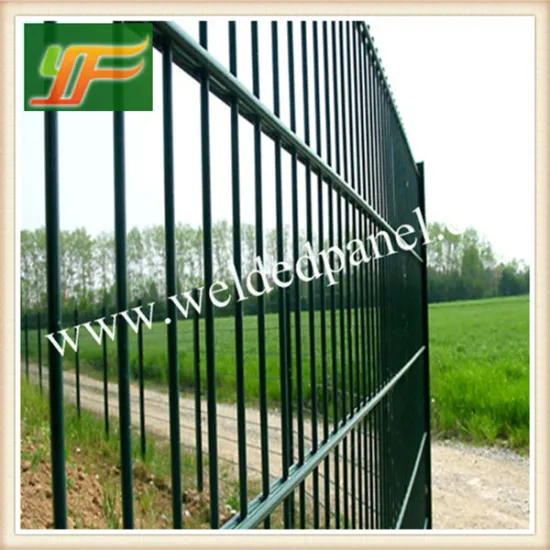 New Disign 2016 Ornamental Double Loop Wire Fence (China Large Manufacturer)
