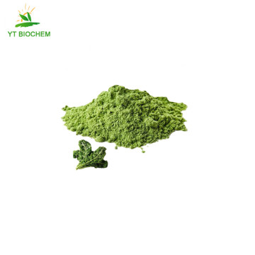 Kale extract powder organic kale powder kale powder