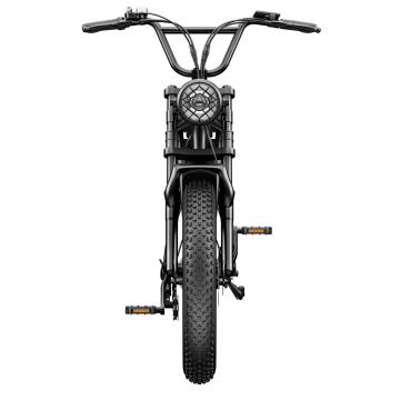 Electric Bicycle Fat EU warehouse powerful Electric Bike