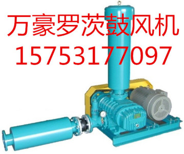 Sewage treatment roots blower