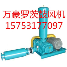 Sewage treatment roots blower