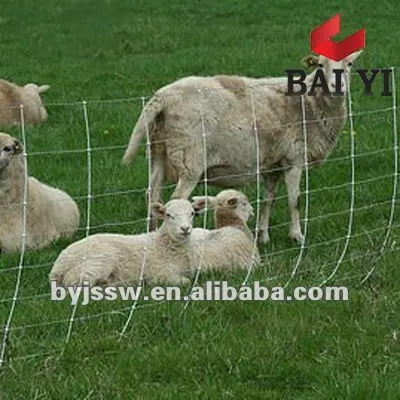 Galvanized Wire Mesh for Sheep and Goat