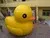 popular inflatable yellow duck/best selling inflatable duck