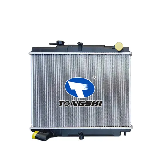 Car Aluminium Radiator OEM 21410-6T001 for Nissan Truck Atlas MT