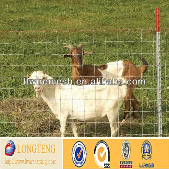 Alibaba China Supplier electric fence for cattle / galvanized cattle fence / wire mesh for glass