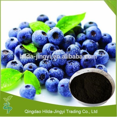 Natural blueberry extract blueberry powder