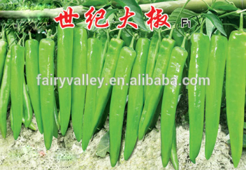 hot pepper seeds for sale