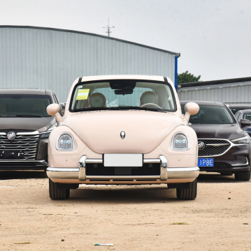 Changcheng 2023 Ora Ballet Cat: 5-Door 5-Seater Hatchback Electric Car