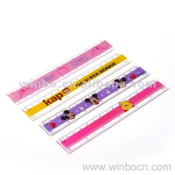 PS 15CM Students Straight Ruler