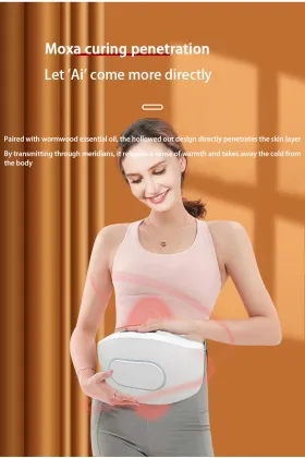 Intelligent Vibration Abdominal Weight Loss and Tropical Abdominal Waist Massager by Pinggao Electric