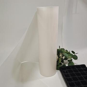 Polypropylene Film | Premium PP Film for Industrial & Packaging Use