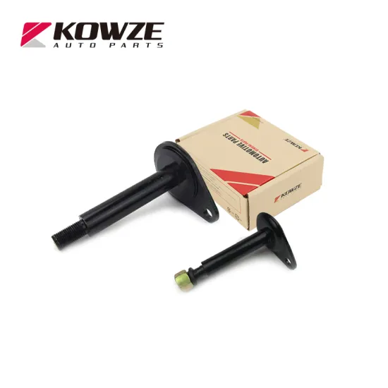 New Design Hot Selling Camber Bolt for Mitsubishi Toyota Isuzu