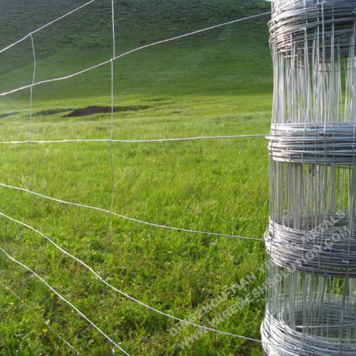 14 Galvanisierter Rinderzaun für Feld