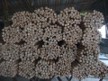 pemegang kayu jual, Harga diskaun pemegang kayu