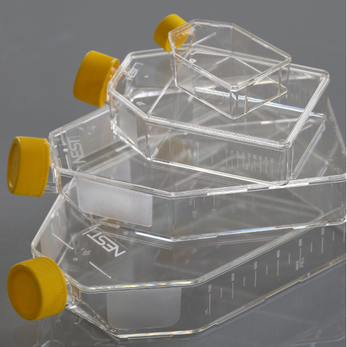 T25 Cell culture flasks for suspension cells