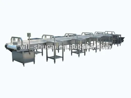 Vegetable Elevator/Vegetable Hosting Machine