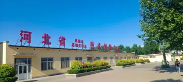 High Stable Precipitated Barium Sulfate for Plastic