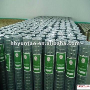 Cheap price 2x2 galvanized welded wire mesh for fence