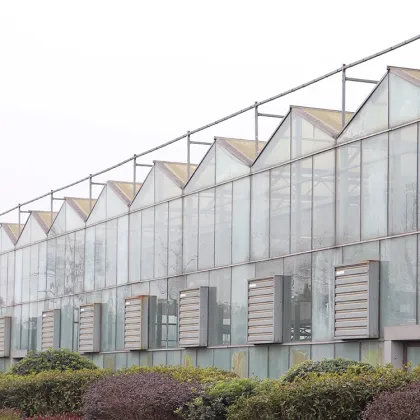 MYXL Greenhouse Industrial Factory Vertical Airflow Ventilation Exhaust Fan