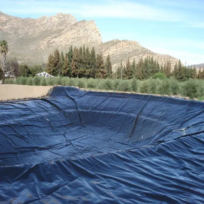 High Performance Mine Heap Leaching Tank HDPE Geomembrane