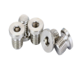 Hex Socket cylinder Pipe Plugs Screw