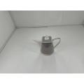 Ceramic kettle with spout