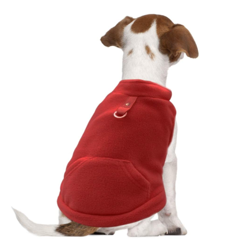 Herfst winter koud weer hond vest