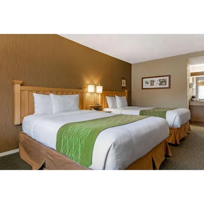 Econo Lodge 3-Star Comfort King Bedroom Sets