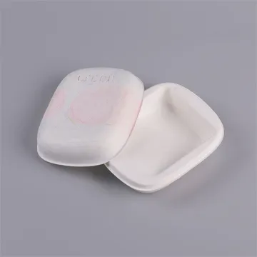 Bagasse Pulp Molded Clothing Underwear Packaging Box