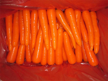 Top Quality Fresh Carrot (2014)