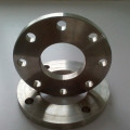 Din 2573 slip keluli palsu pada flange rf