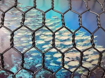 Factory Direct Deep Sea Fish Farming Machines & Marine Farm Equipment