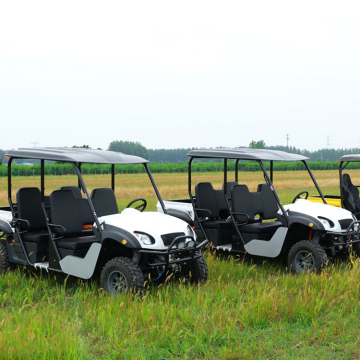 Factory Outlet 10kw 72v 4WD Electric UTV for Activities