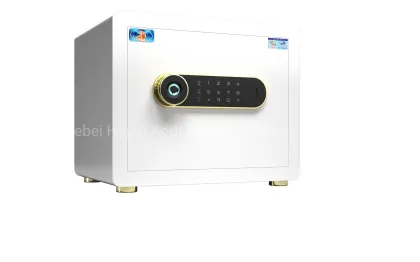 Tiger Safe New Fingerprint Safe