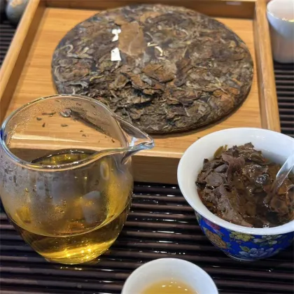 GABA Enriched Organic White Tea