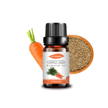 Pure organic fragrance carrot seed essential oil