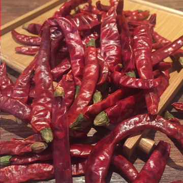 Trockener Chaotian Chili mit roter Farbe