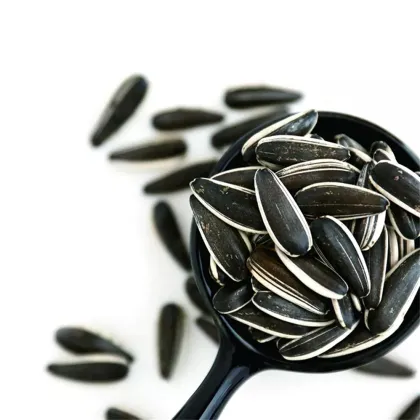 Raw sunflower seeds 601