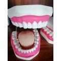 /msite/products/detail/productid/63053605/id/1517769.html