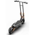 Electric Scooter D1