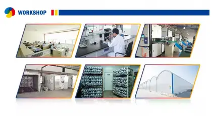 Mass- produced   new Shiitake Mushroom Spawns/Fungus