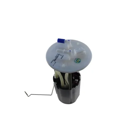 BAIC X35 Fuel Pump Parts