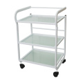 Rolling Trolley Salonregale