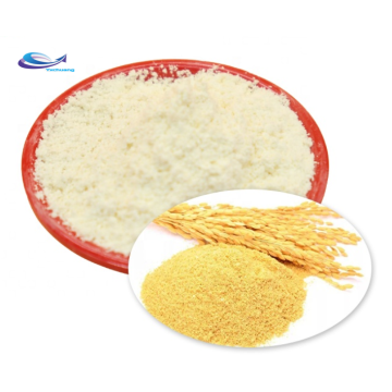 Hot sale Oryzanol Powder