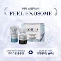 Asce + Plus Exosomes Anti-Wrinkle Anti-Aging Skin Regeneration Scalp Problems