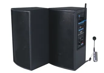 Digital active speaker amplifier module, amplifier pa