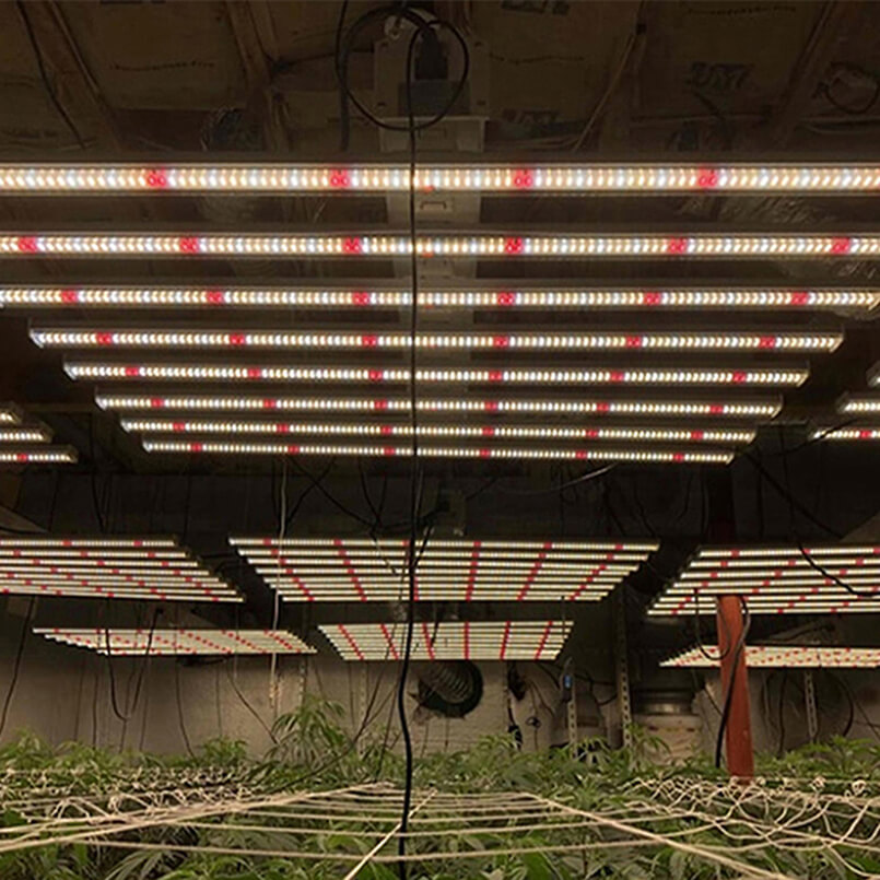 8 Bar Grow Light